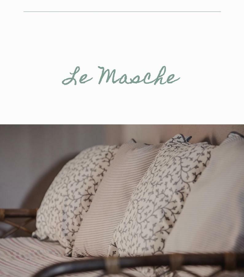 Bed & Breakfast Il Mio Gelso Villanova d'Asti Exterior foto